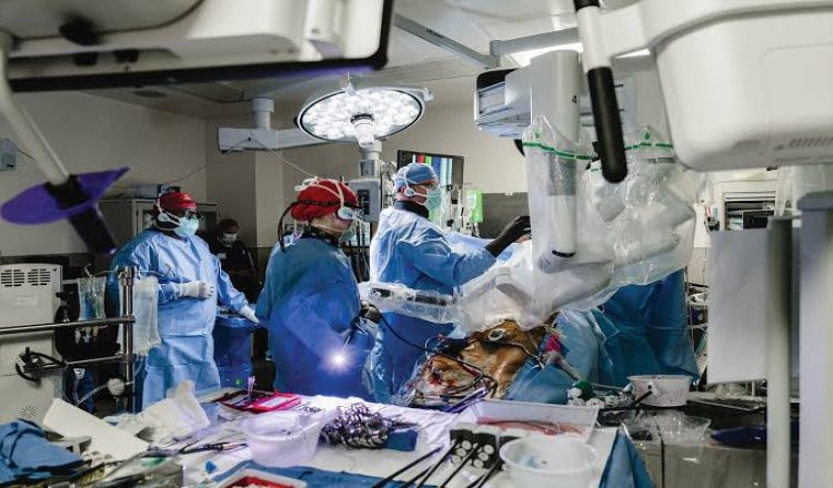 online-doctors-portal,health-news-articles,health-online-express,healthcare-india-news,medical-news-today-india