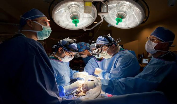 online-doctors-portal,health-news-articles,health-online-express,healthcare-india-news,medical-news-today-india