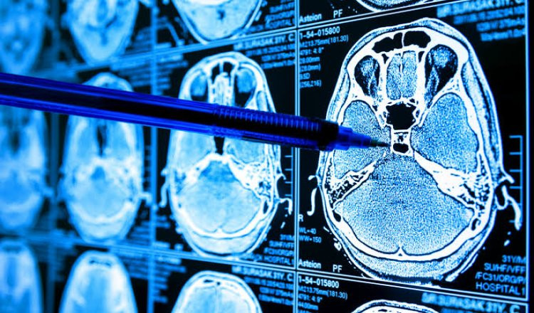 online-doctors-portal,health-news-articles,health-online-express,healthcare-india-news,medical-news-today-india