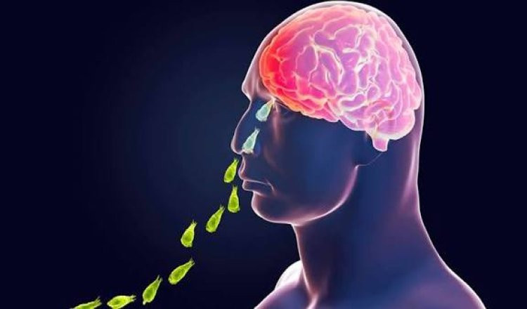 online-doctors-portal,health-news-articles,health-online-express,healthcare-india-news,medical-news-today-india
