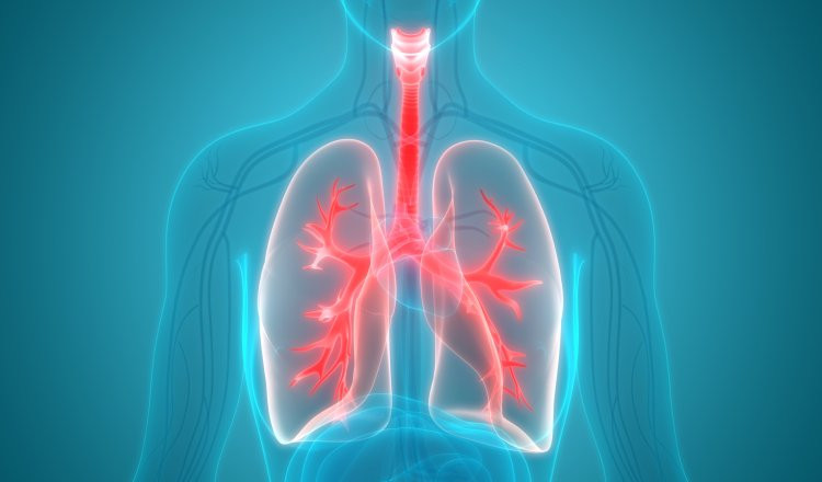 online-doctors-portal,health-news-articles,health-online-express,healthcare-india-news,medical-news-today-india